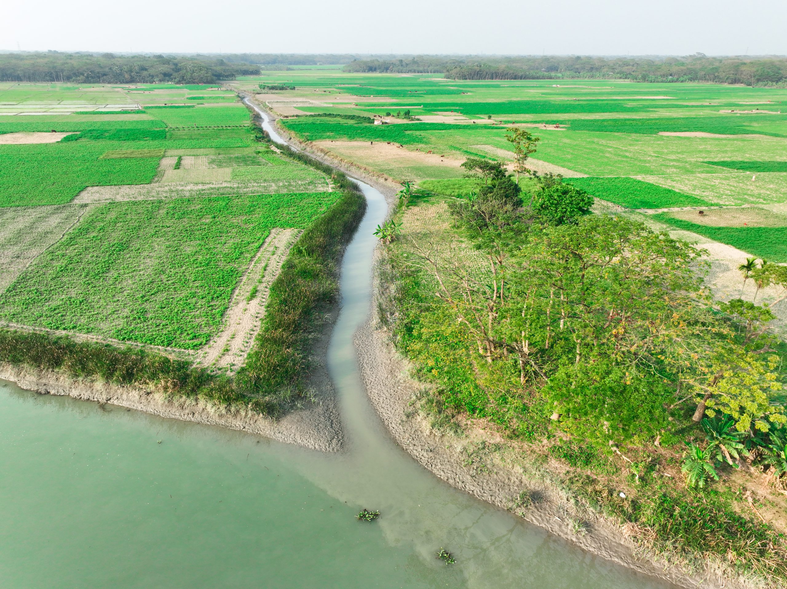 Bangladesh Agricultural Development Corporation(BADC Bhola)